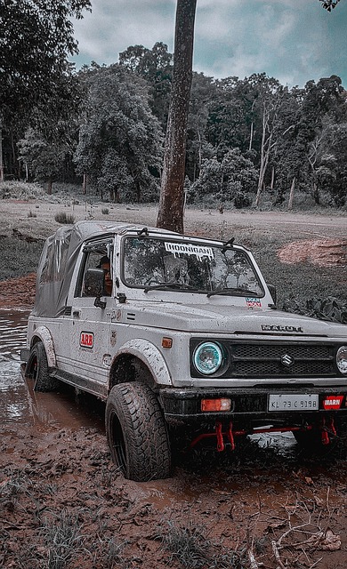 接近巅峰 接近巅峰