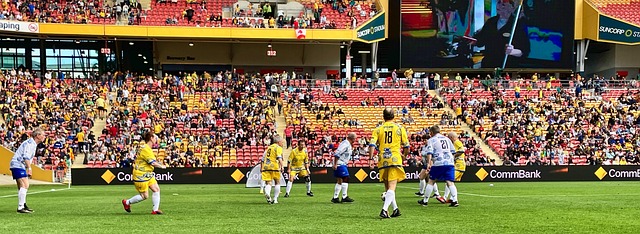 充分调动了 充分调动了