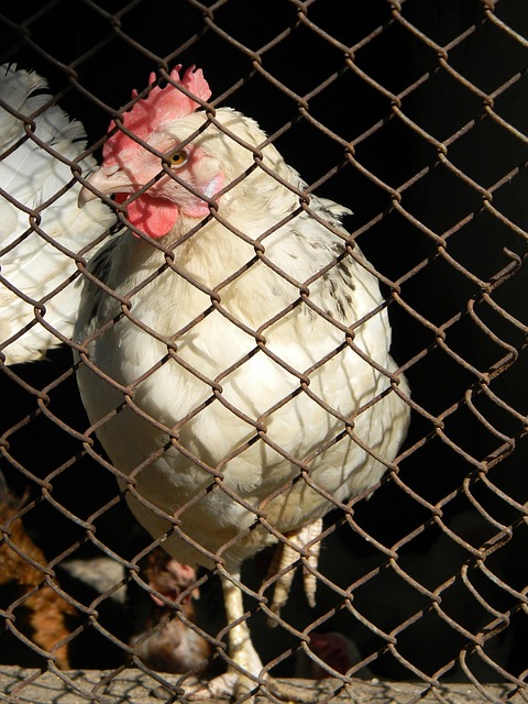 表示其座椅 表示其座椅