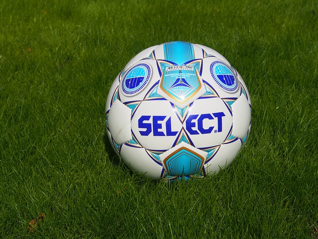 獲得了國際 獲得了國際